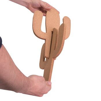 Διακοσμητικό Γραφείου Πίνακας Σημειώσεων Κάκτος | Gadgets στο Gadget Box